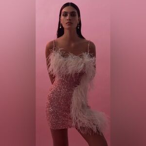 Rachel Gilbert Blush Feather-Embellished Dress